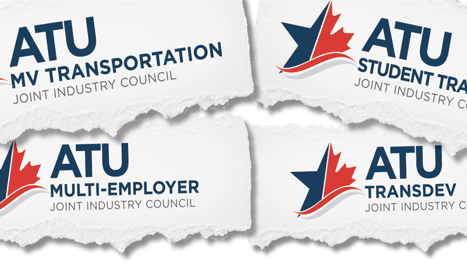 In-Transit Article Photo